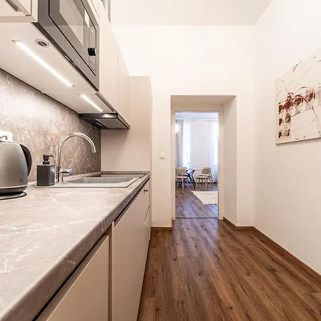 Design Luzanky Apartament