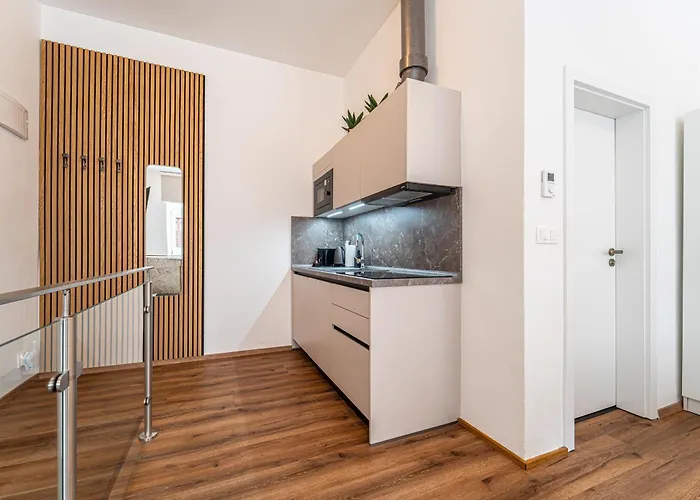 Design Lužánky Apartmán *